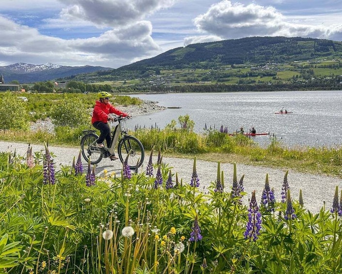 Picture 4 for Activity Rentals | E-Trekking Bike 4