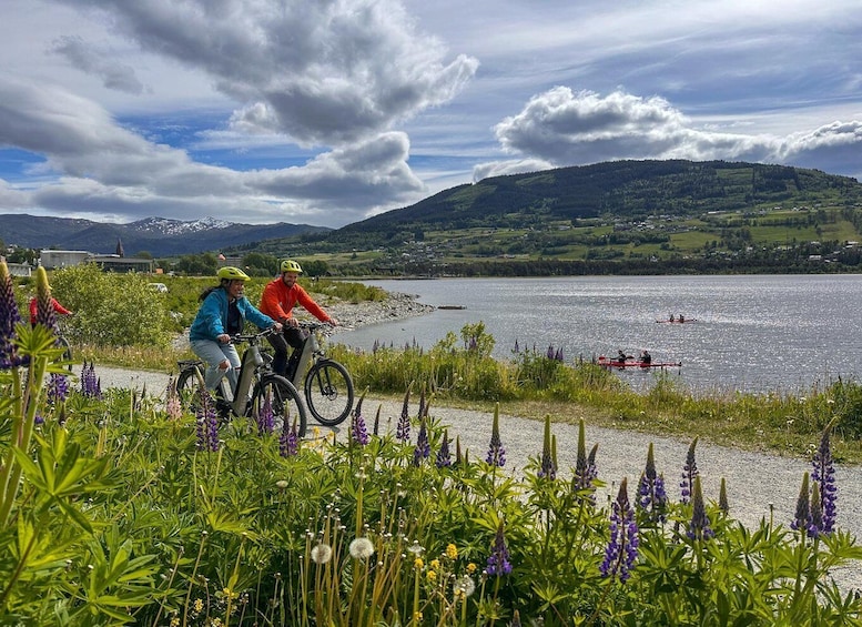 Picture 3 for Activity Rentals | E-Trekking Bike 2