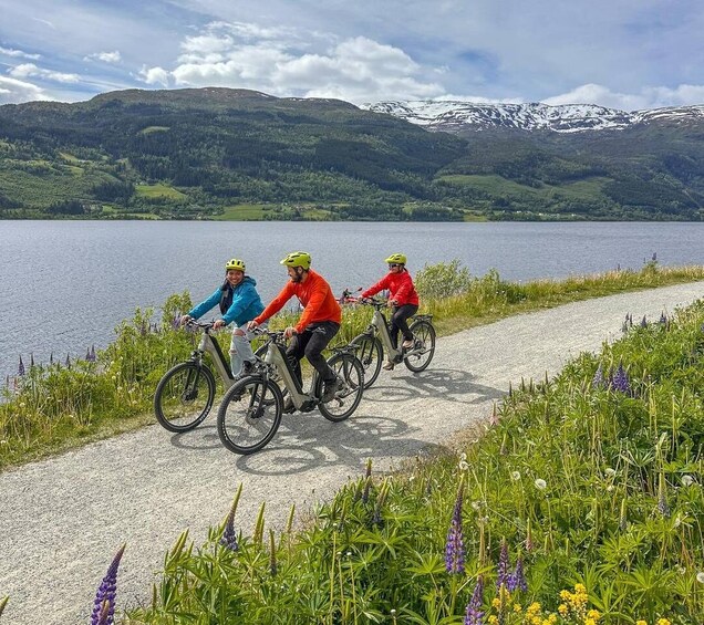 Picture 5 for Activity Rentals | E-Trekking Bike 3