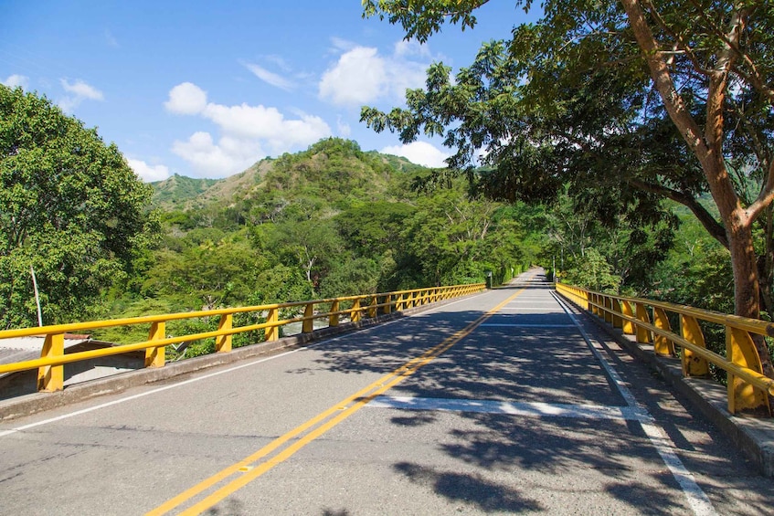 A bridge with yellow railings, surrounded by lush green hills and trees. 5