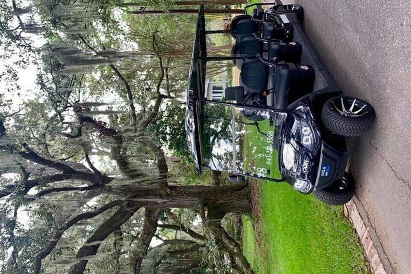 Un carrito de golf estacionado en una entrada con un gran árbol al fondo. 2