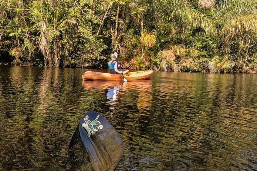 A person kayaking on a river surrounded by dense tropical vegetation. 3