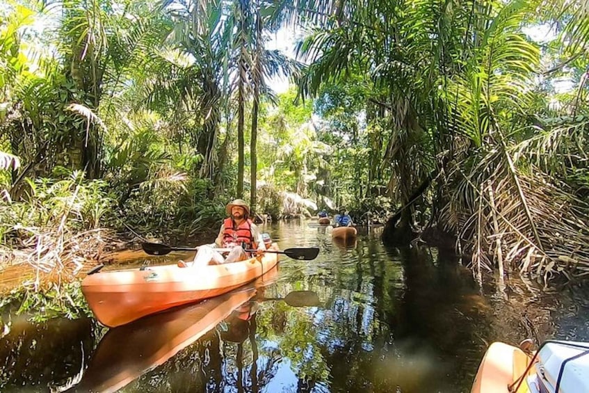 A person kayaking through a narrow waterway surrounded by dense tropical vegetation. 1