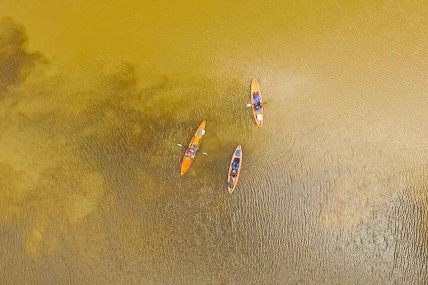 Three kayaks on a calm body of water. 2
