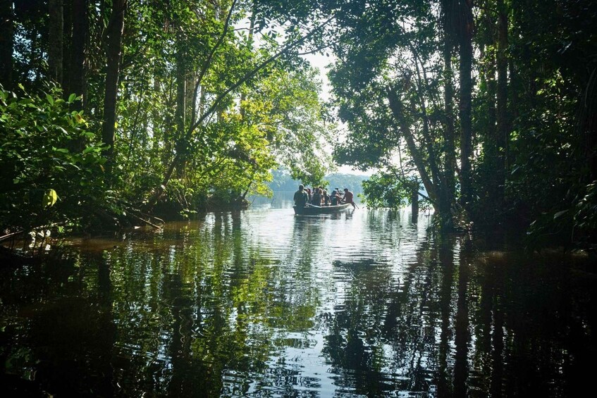 A river surrounded by dense foliage with a boat carrying people. 4
