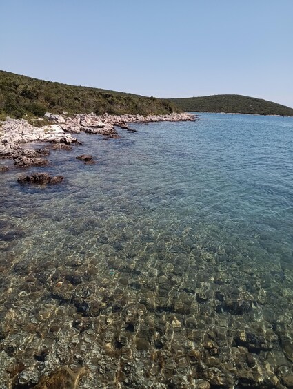 Picture 8 for Activity Private Boat Tour Through the Zadar Archipelago 2