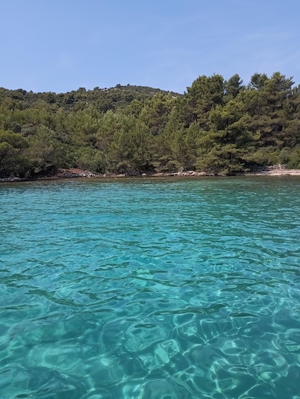 Picture 9 for Activity Private Boat Tour Through the Zadar Archipelago 2