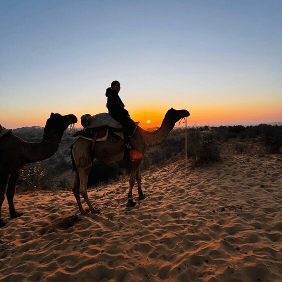 A person riding a camel in a desert at sunset. 3