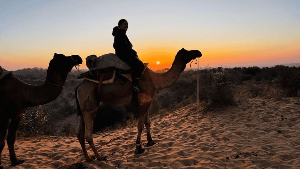 Picture 13 for Activity Desert Safari In Jodhpur 3