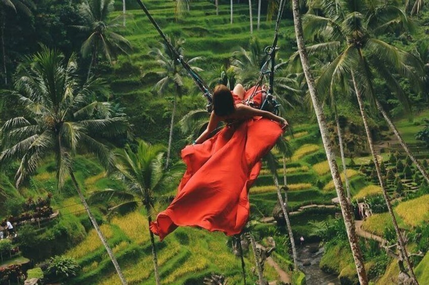 Ubud Waterfalls, Rice Terrace and Jungle Swing Tour 2
