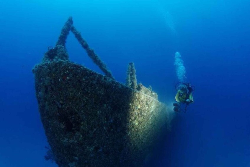 A diver exploring an underwater shipwreck. 1