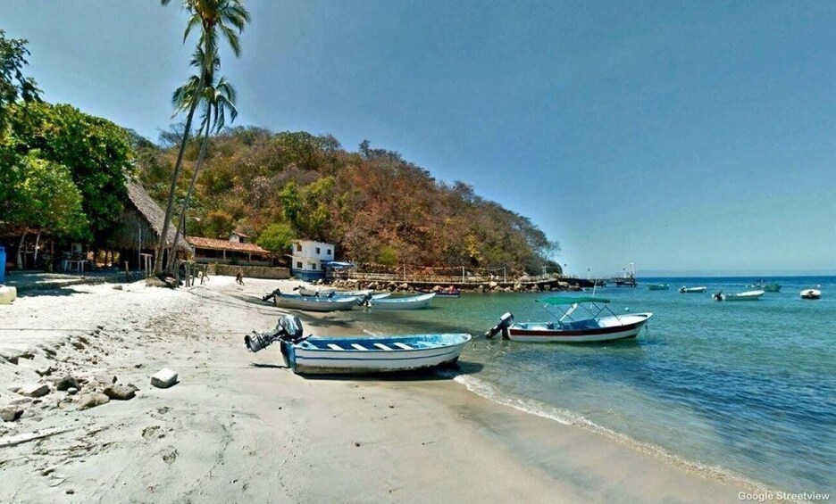 Une plage avec des bateaux, une maison et des palmiers. 1