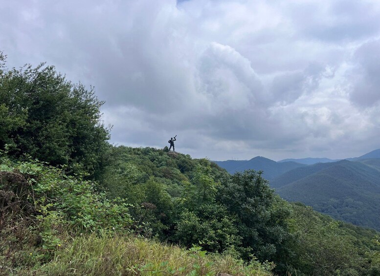 A person standing on a hill with a backpack, surrounded by dense green foliage and mountains in the background. 3