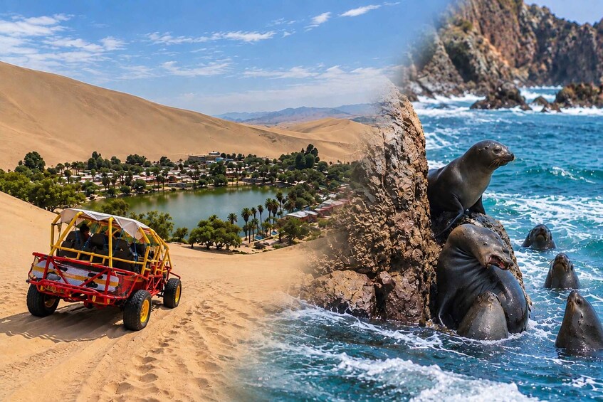 A desert landscape with a lake, a red off-road vehicle, and sea lions near the water. 1