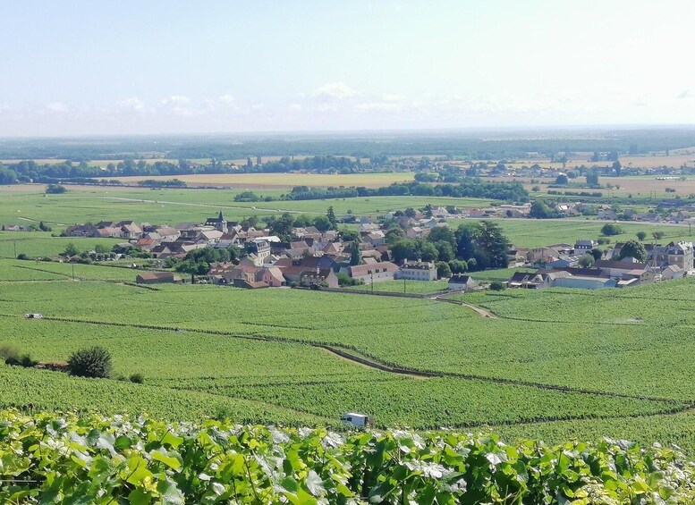 A rural landscape with a village, vineyards, and rolling fields. 5
