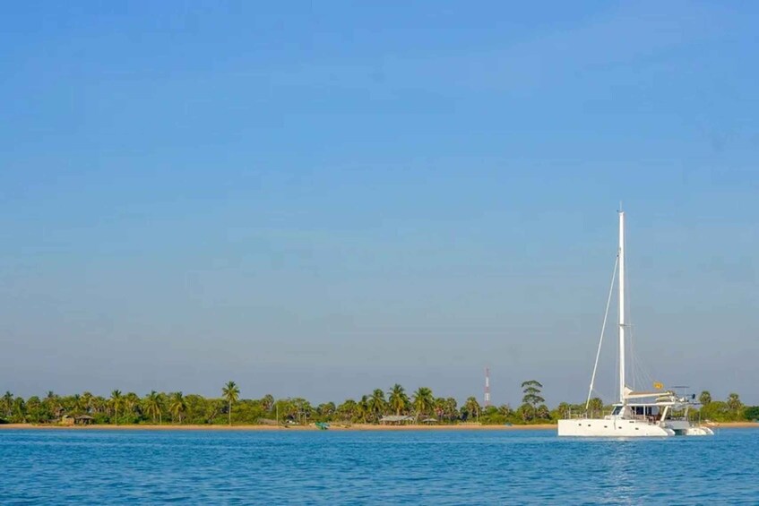 A white sailboat on calm blue waters with a beach and palm trees in the background. 3