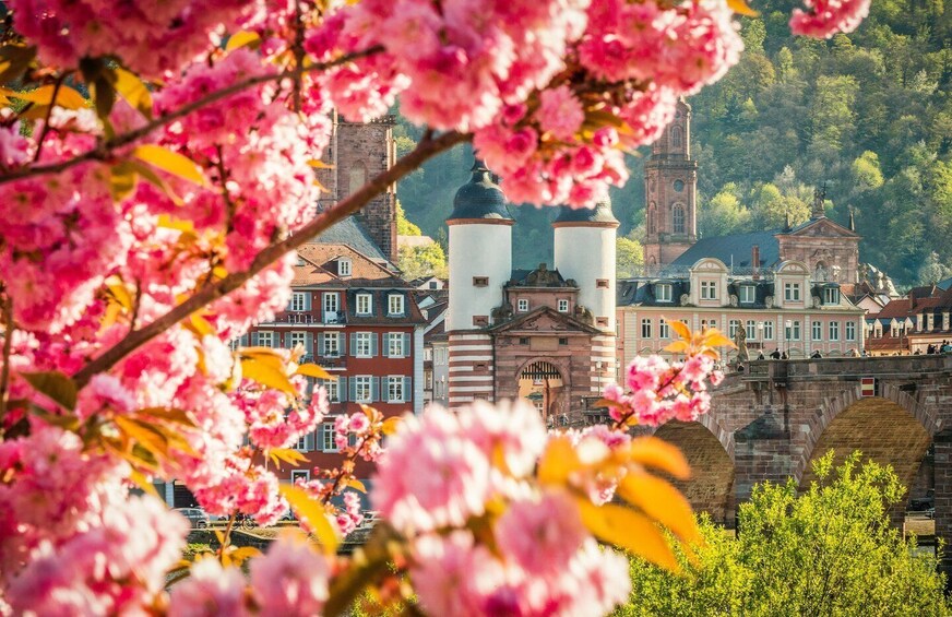 Picture 7 for Activity Heidelberg: Walking Tour of the Old Town 4