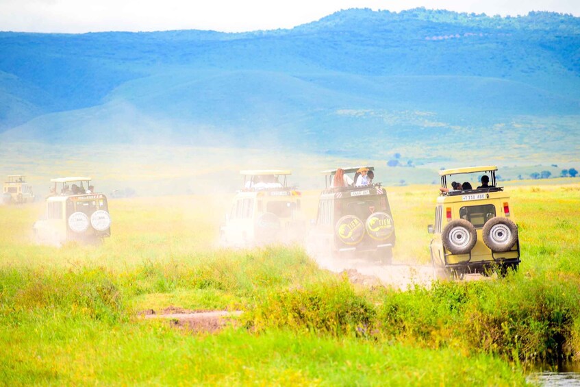 A safari vehicle driving through a grassy field with a mountainous backdrop. 3