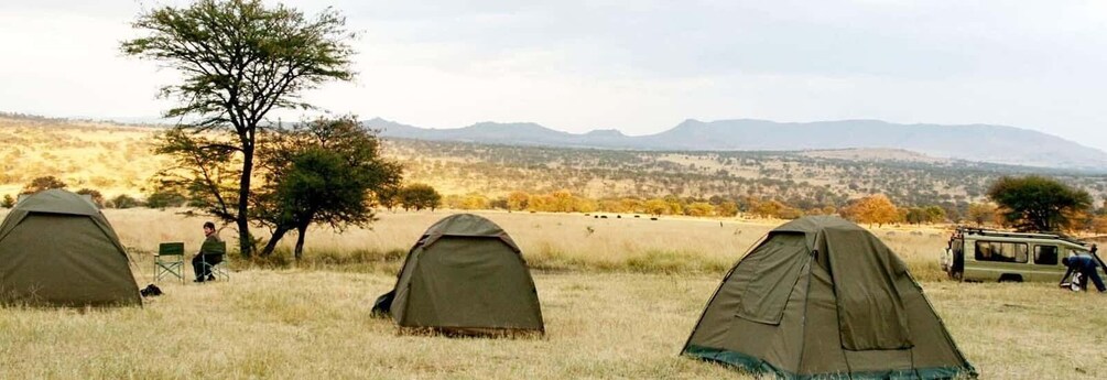 Three tents in a grassy field with mountains in the background. 1