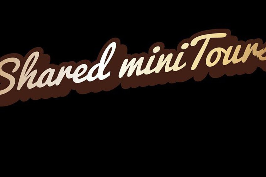The text 'Shared mini Tours' in a stylized font with a brown and beige color scheme. 2