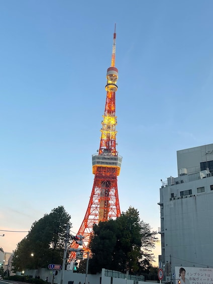 Picture 1 for Activity Tokyo: 3-Day Sightseeing Tour with Lunch 3