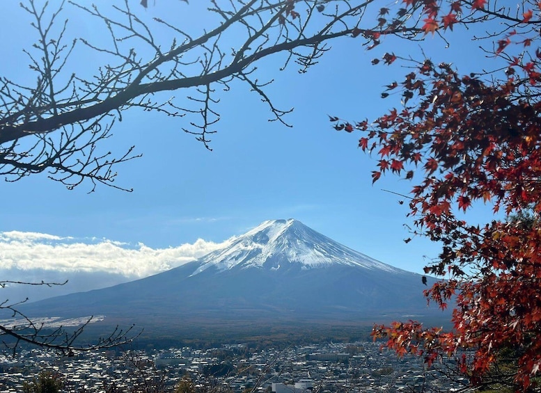 Tokyo: 3-Day Sightseeing Tour with Lunch 1