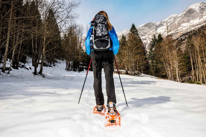 A person cross-country skiing on a snowy trail with trees and mountains in the background. 1