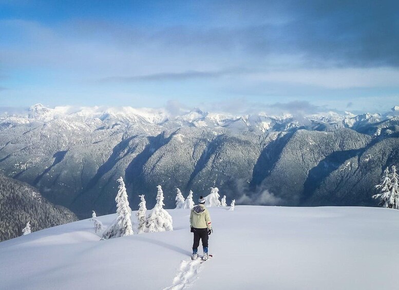A person standing on a snow-covered peak with a panoramic view of snow-covered mountains and trees in the background. 3