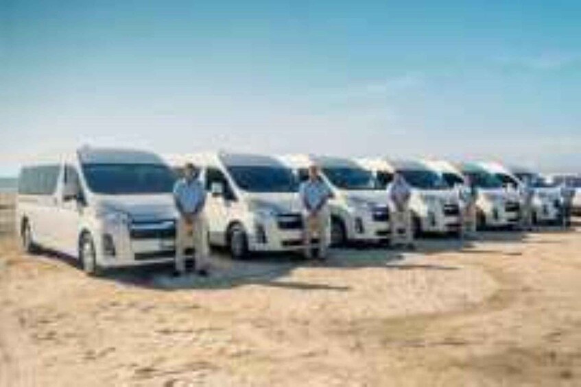 A row of white vehicles parked on a sandy surface. 3