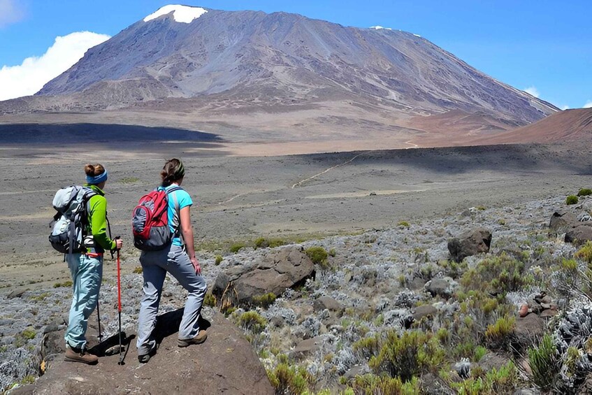 Kilimanjaro : Private 1-Day Trek with Certified Guide 1