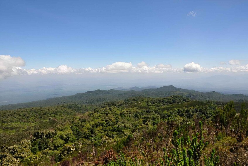 Picture 3 for Activity Kilimanjaro : Private 1-Day Trek with Certified Guide 3