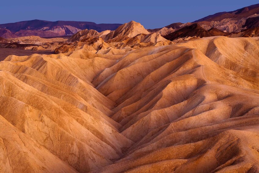 Un paysage désertique caractérisé par des dunes de sable ondulantes et des formations rocheuses. 4