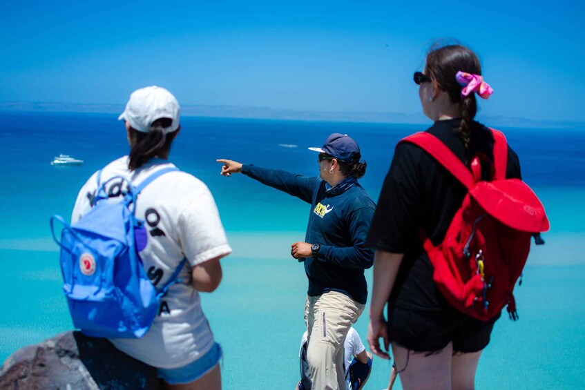 Picture 13 for Activity Balandra Adventure: sea lions, kayak, and hike in paradise 5