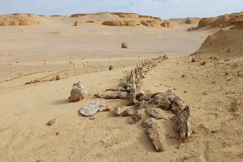 A desert landscape with large rock formations and a dry riverbed. 3