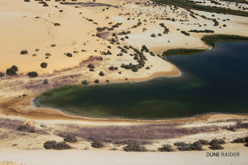 A vast desert landscape with a large body of water, surrounded by sand dunes and sparse vegetation. 5