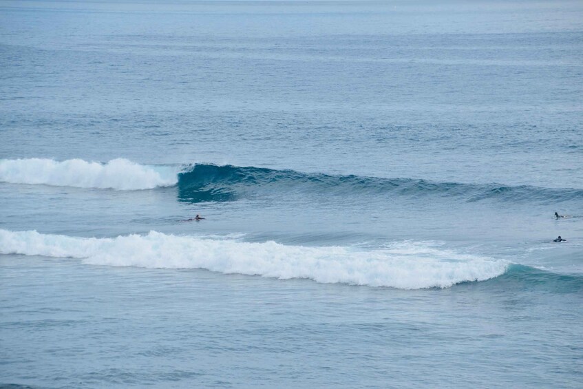Surfers riding waves in the ocean. 5