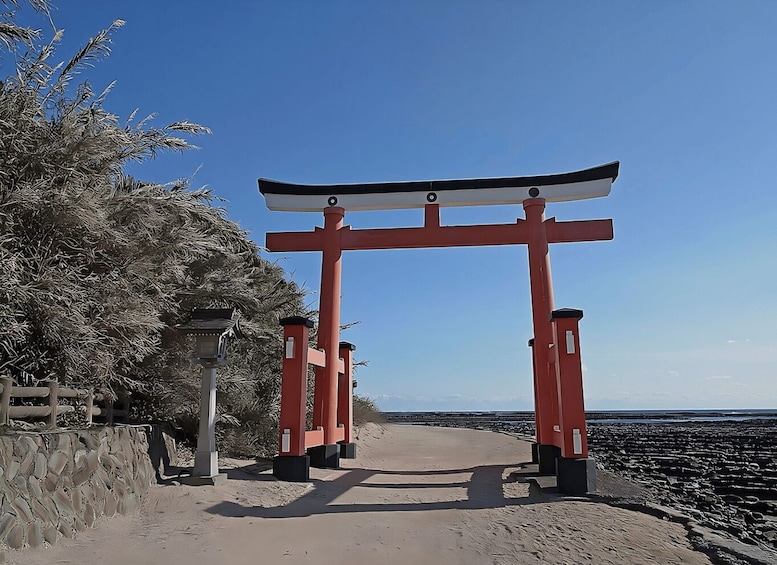 Picture 3 for Activity Kyushu 9-hour chartered day trip｜ Miyazaki 3