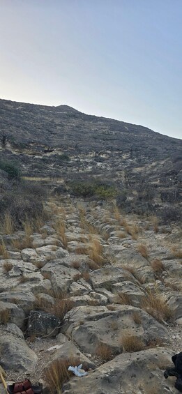 A rocky terrain with sparse vegetation and a hill in the background. 4