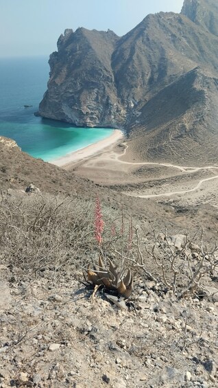 A rocky terrain with sparse vegetation and a coastal view with a clear blue sea and a sandy beach. 1