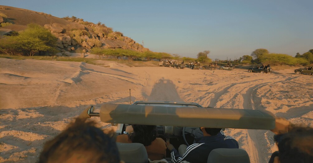 Picture 35 for Activity Jawai Leopard Safari 4x4 Gypsy Adventure with Guide 2
