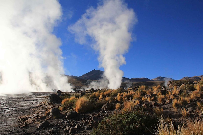 A geothermal area with steam vents and a mountainous background. 1