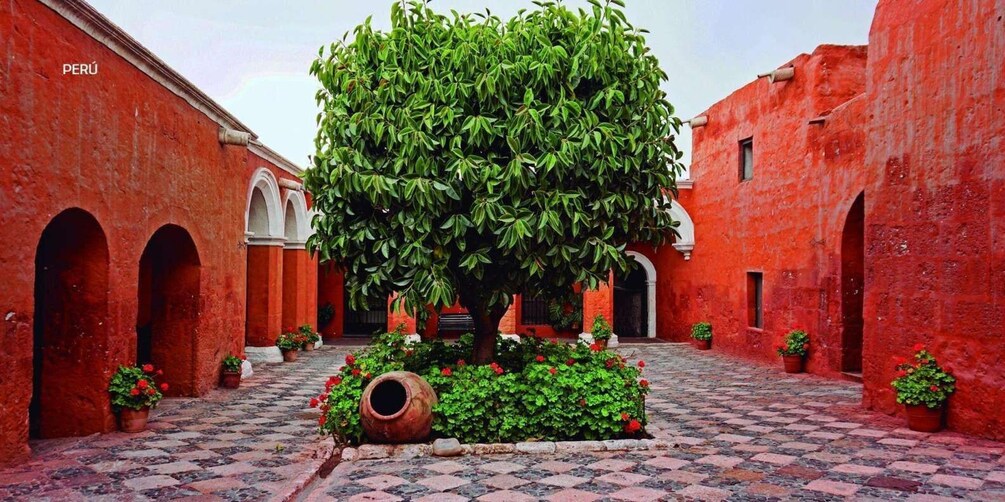 A courtyard with red walls, a central tree, and potted plants. 5