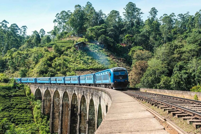 A blue train on a bridge over a lush green landscape. 4