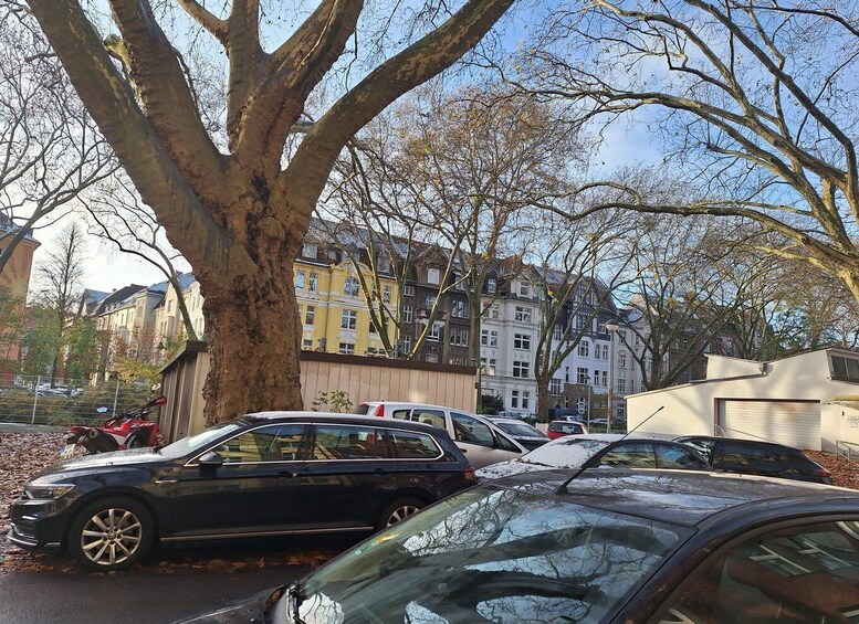 A parking lot with several cars, a large tree, and residential buildings in the background. 4