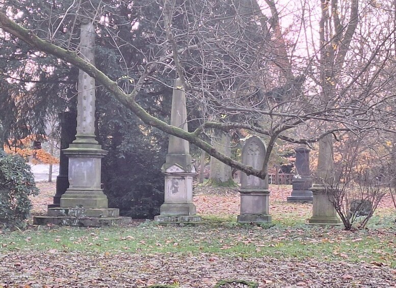 A cemetery with stone monuments and a large tree with bare branches. 5