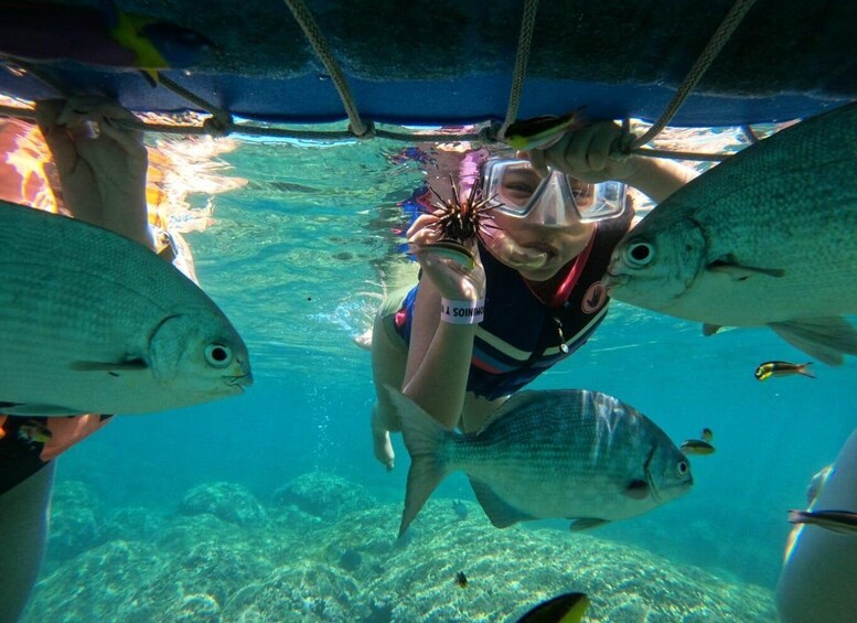 A person snorkeling underwater with fish around. 3