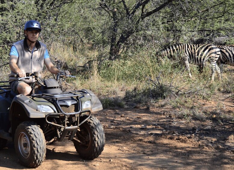 A person riding an ATV on a dirt path with zebras in the background. 4