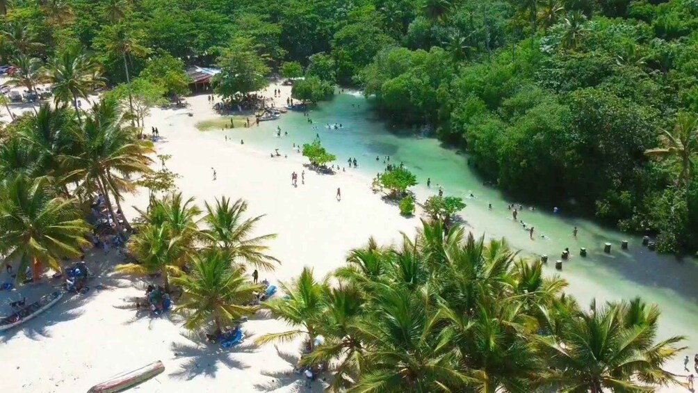Una playa con agua turquesa cristalina, palmeras y gente nadando y tomando el sol. 4