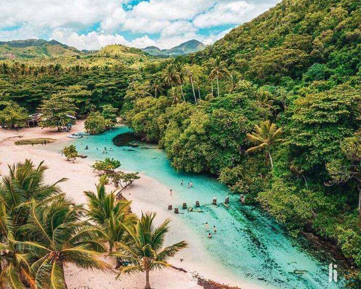 Una playa tropical con aguas turquesas cristalinas, palmeras y abundante vegetación. 2