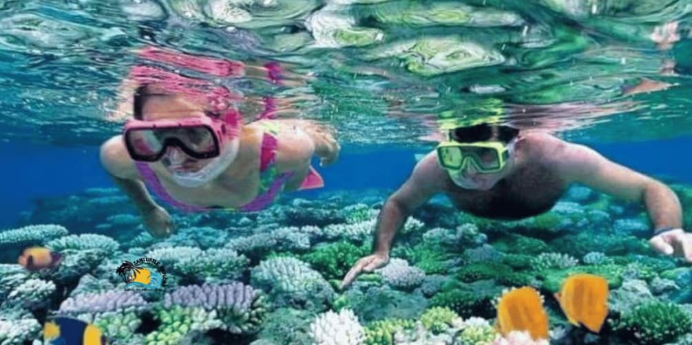 Picture 8 for Activity Zanzibar: Blue Lagoon Snorkeling and Starfish Paradise Tour 4